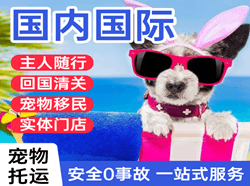 连云港航空货运国际宠物托运 【国